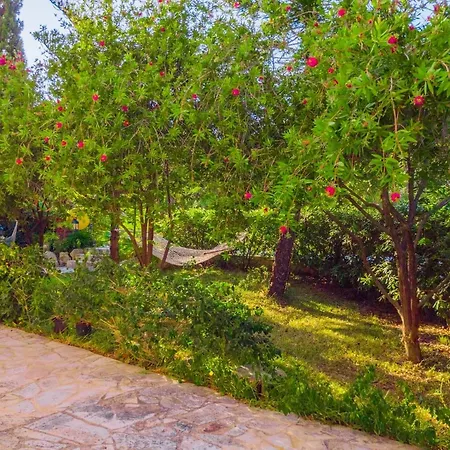 Luxury Hébergement de vacances Kounopetra