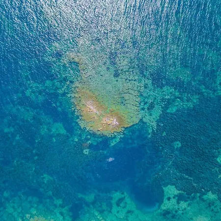 Luxury Hébergement de vacances *